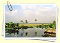 Kerala Honeymoon Backwater