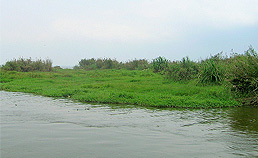 alleppey kumarakom houseboat cruise